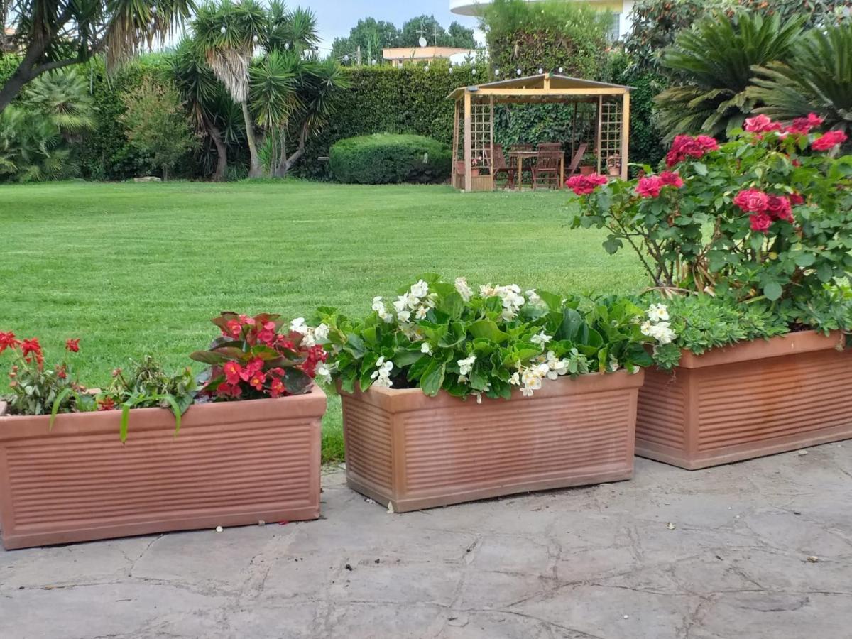 Ferienwohnung Garden Basement - Seminterrato Max 4 Ospiti - Fiumicino Vicino Aeroporto E Fiera Exterior foto
